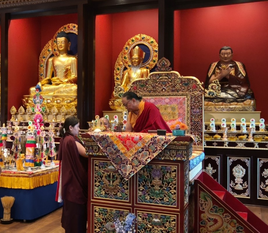 Practice Intensive 2025 – 205